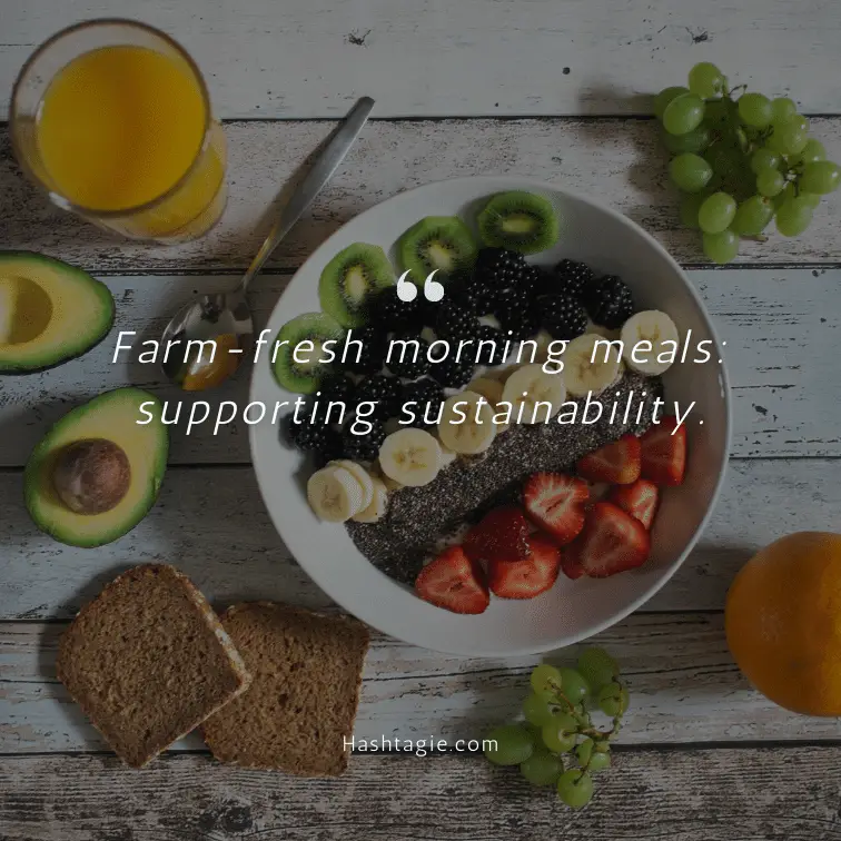 Farm-to-table breakfast captions example image