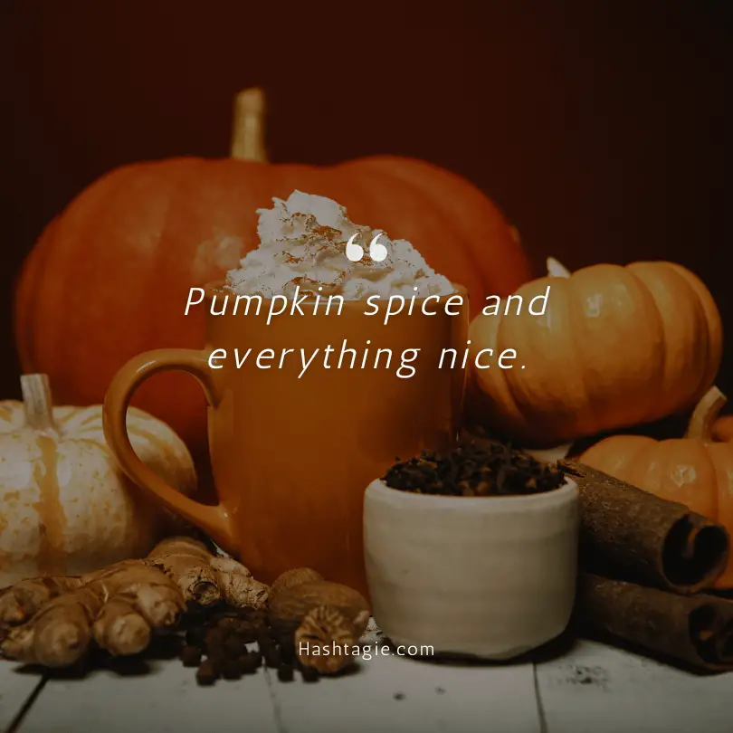 Autumn harvest Instagram captions example image