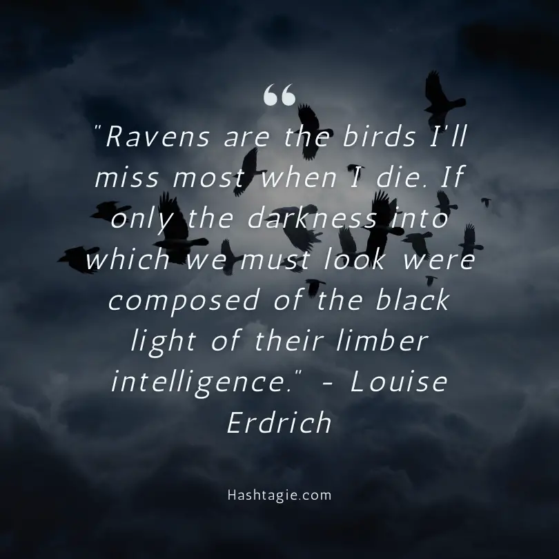 Bats and ravens quotes. example image