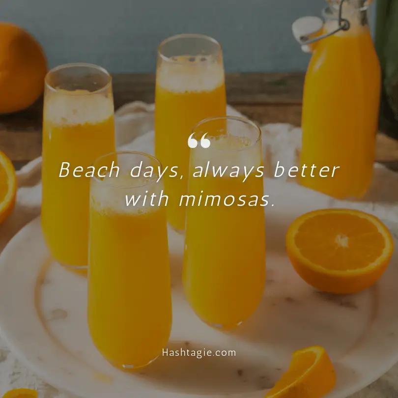 Beach Day Mimosa Quotes example image