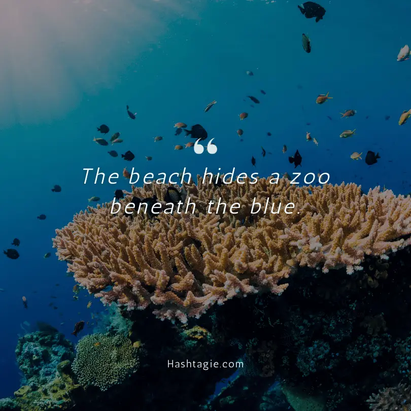 Beach wildlife quotes example image