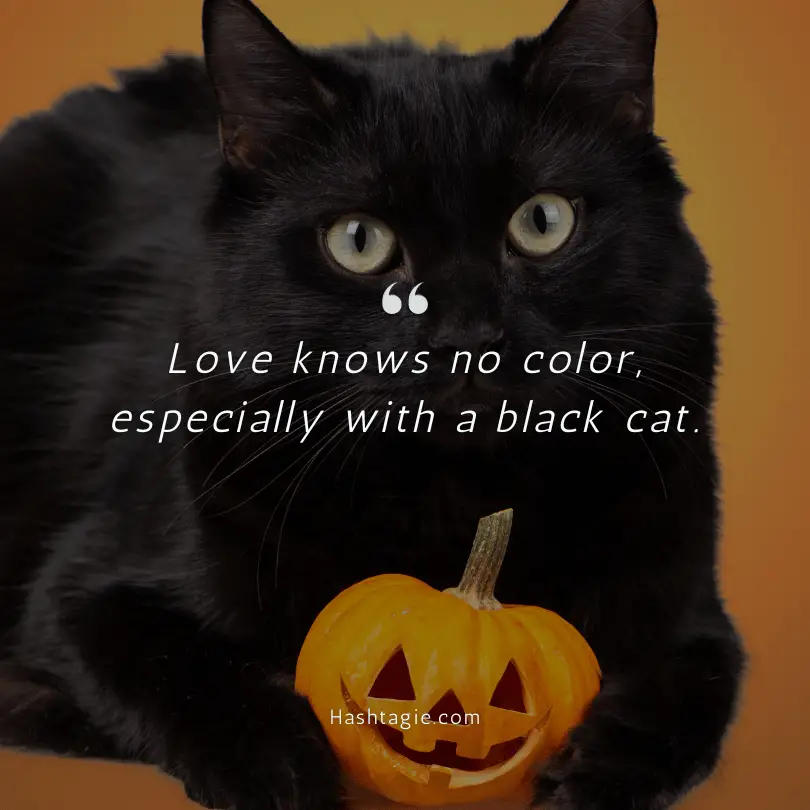 Black cat quotes example image