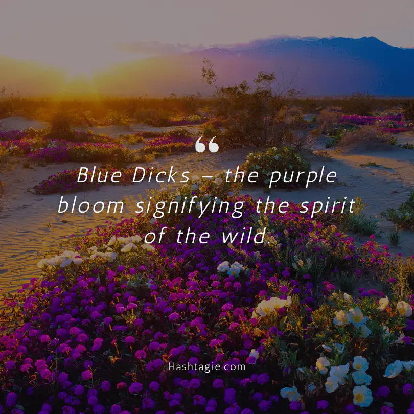 California wildflower captions example image