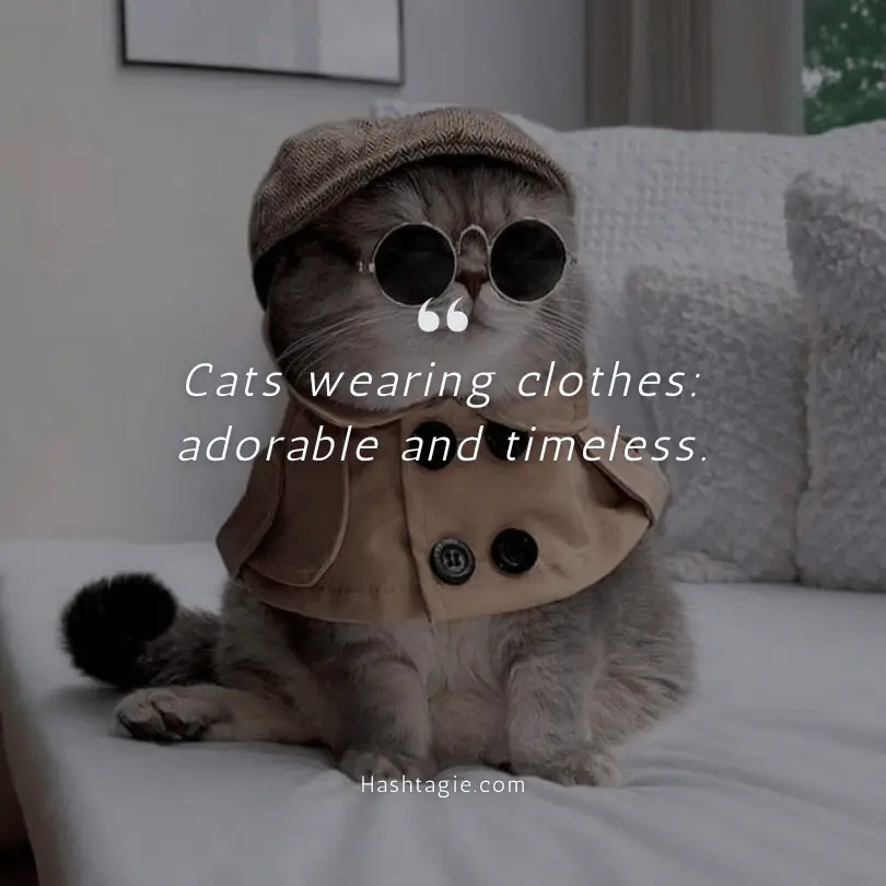 Caption for dressing up your cat example image