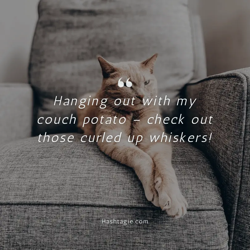 Caption for lazy cat days example image