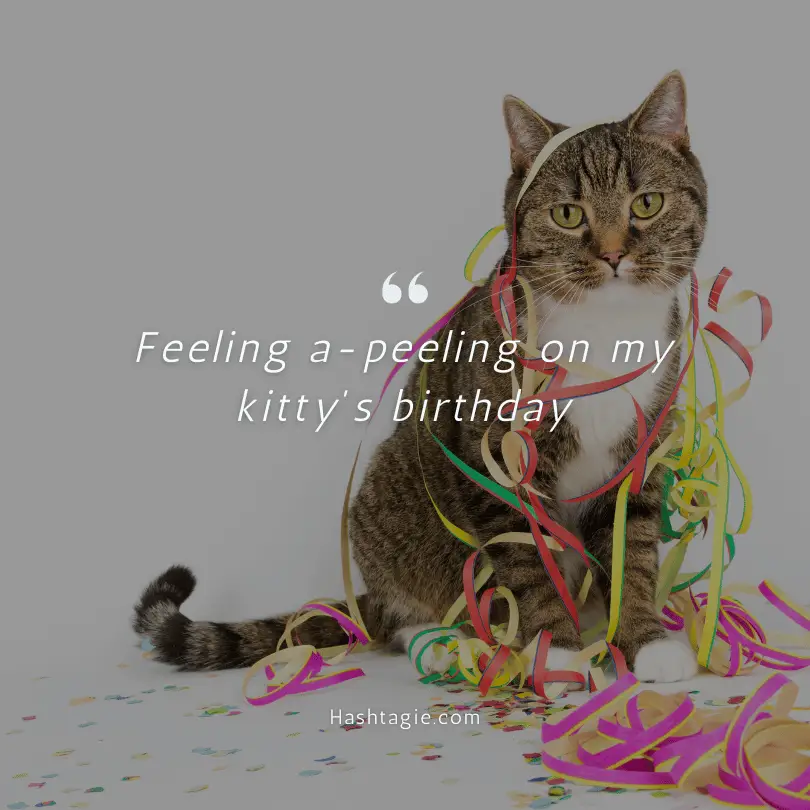 Captions for cat birthdays example image