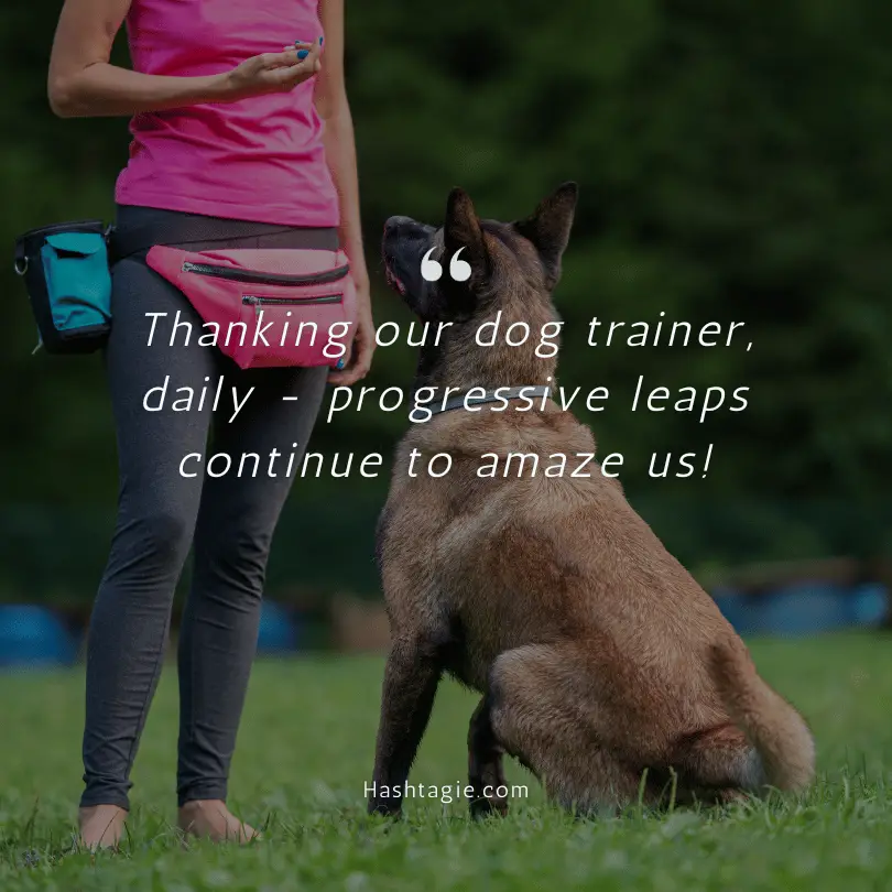 Captions for dog's training progress example image