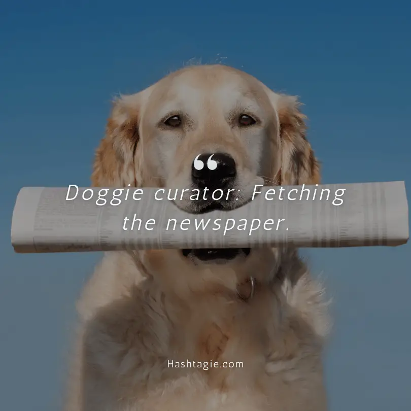 Captions for dog's unique tricks example image