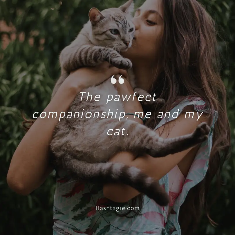 Cat and owner bonding captions example image