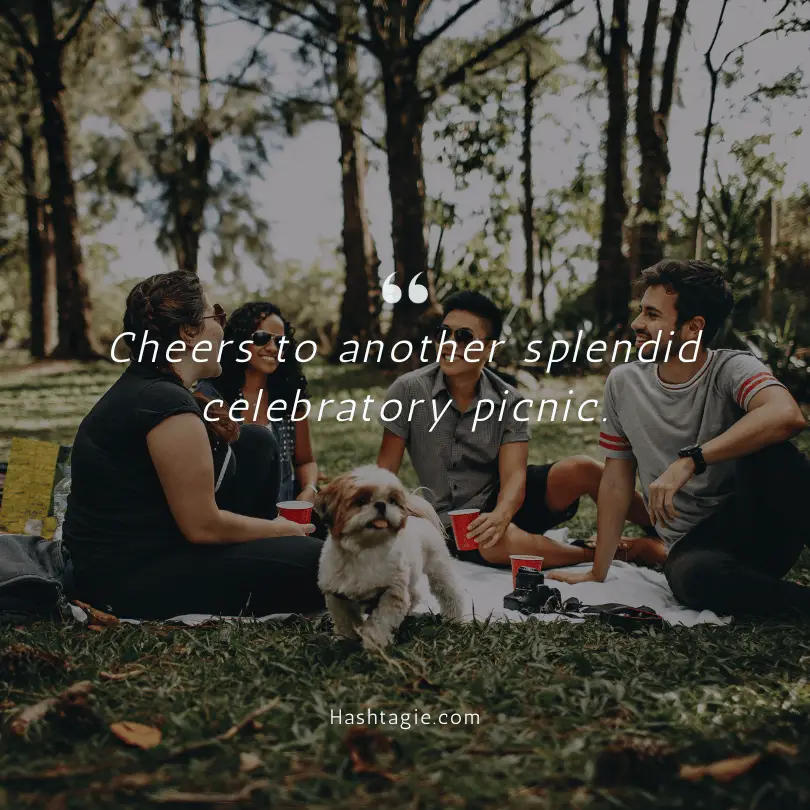 Celebratory picnic captions  example image