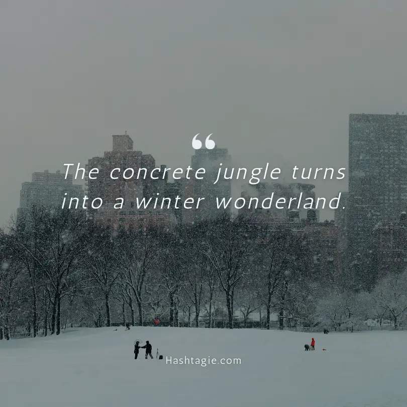 City Girl Instagram captions for winter in the city example image