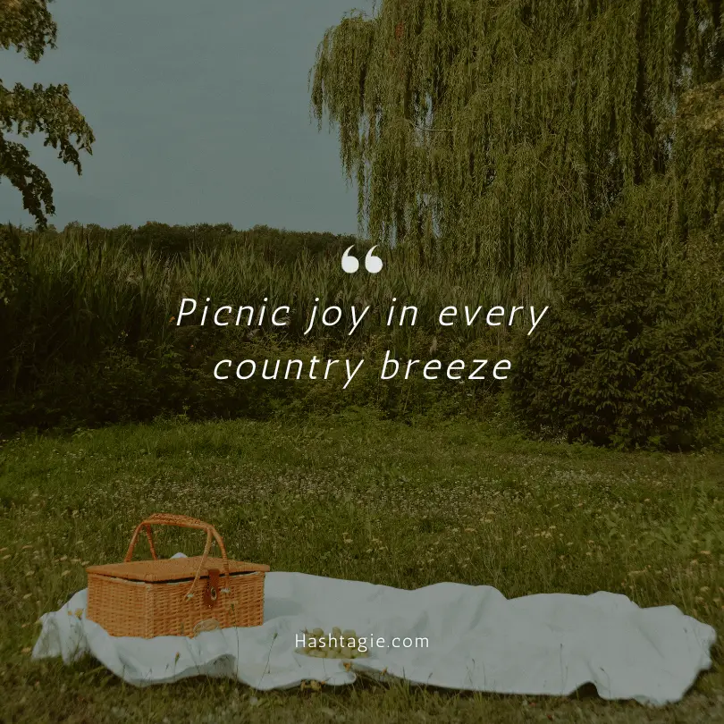 Country Girl Instagram captions for picnics example image