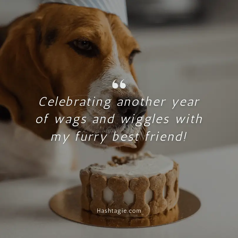 Dog adoption anniversary captions example image