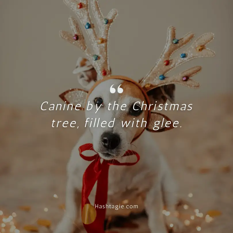 Dog Christmas captions example image