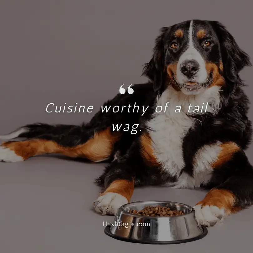 Dog foodie captions example image