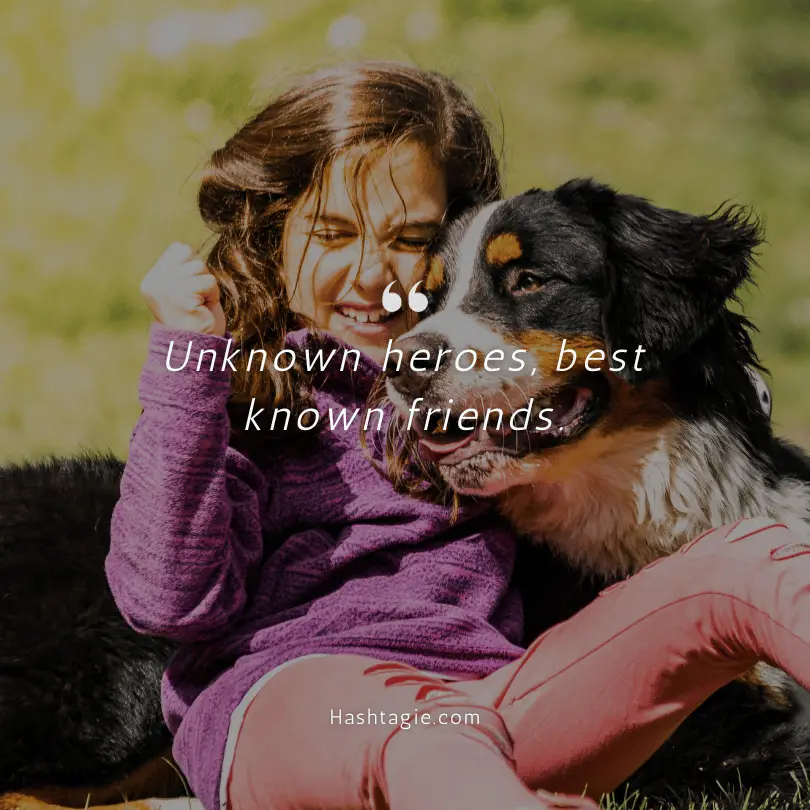 Dog friendship captions example image