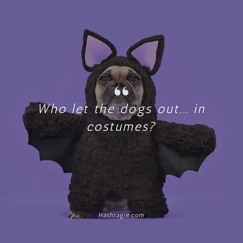 Dog Halloween costume captions example image