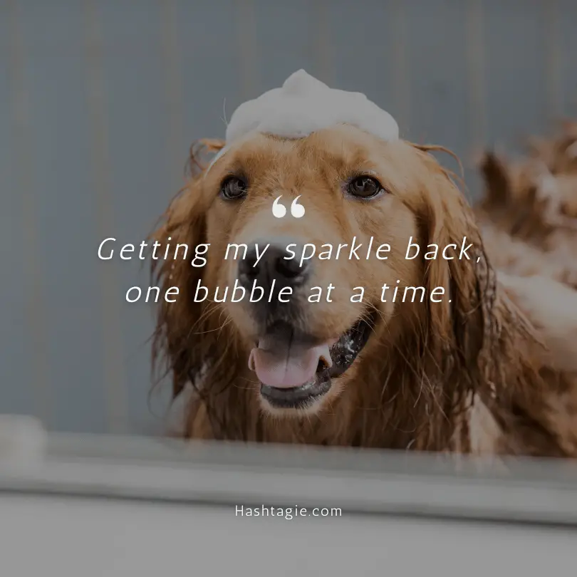 Dog's bath time captions example image