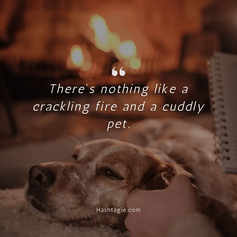 Fireplace captions with Pets  example image