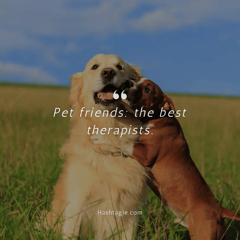 Friendship captions for pet friends example image