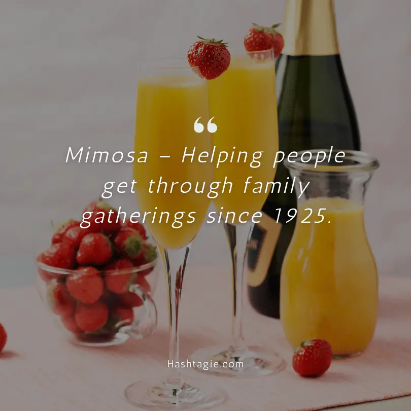 Funny Mimosa Captions  example image