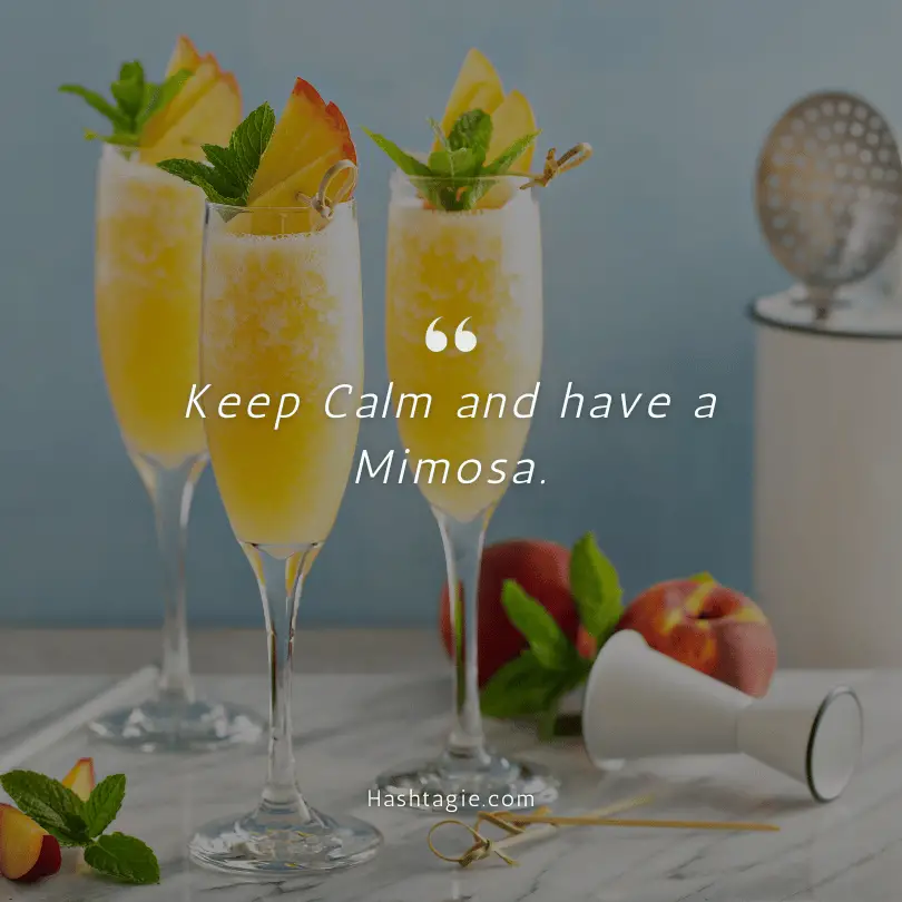 Girl’s Day Out Mimosa Captions example image