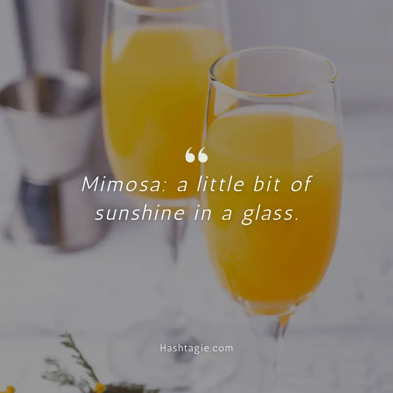 Inspirational Mimosa Captions example image