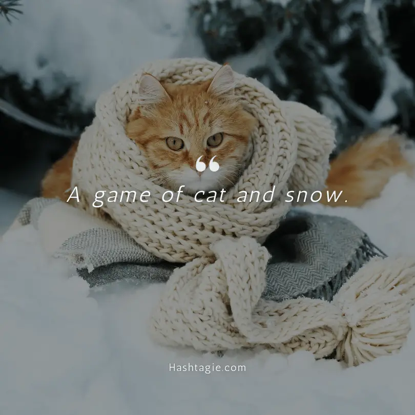 Instagram caption for a cat's first encounter with snow example image