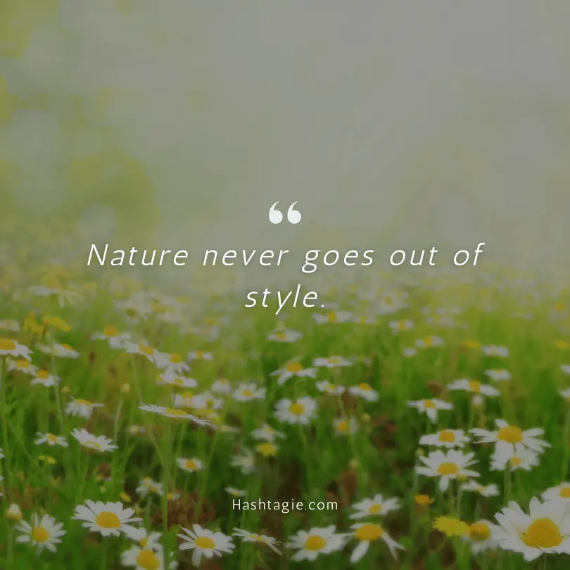 Instagram captions for nature photos  example image