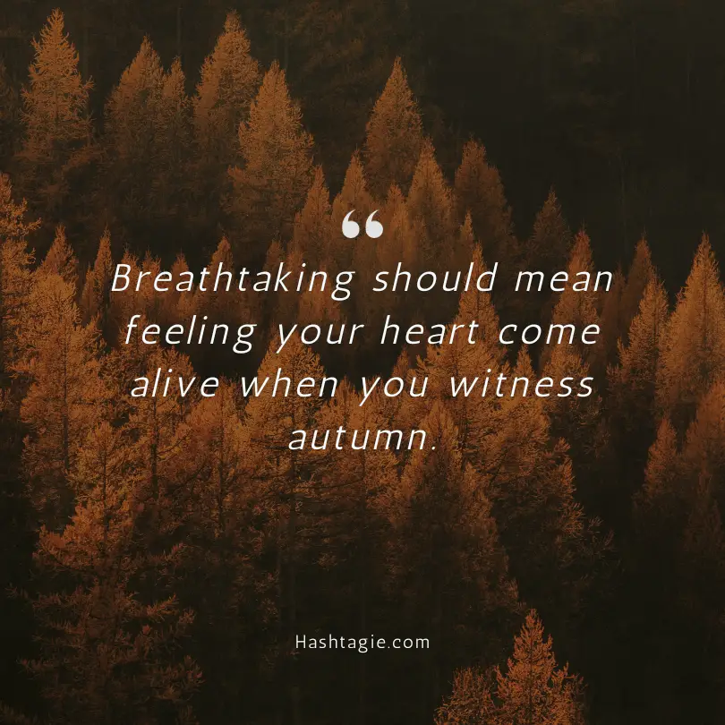 Leaf peeping Instagram captions example image