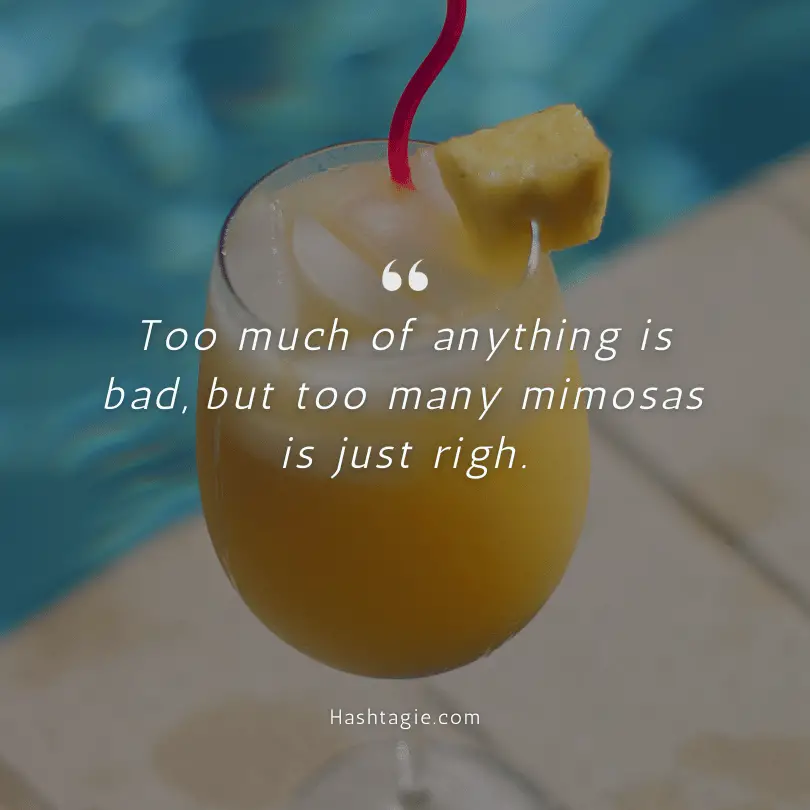 Mimosa Brunch Party Captions example image