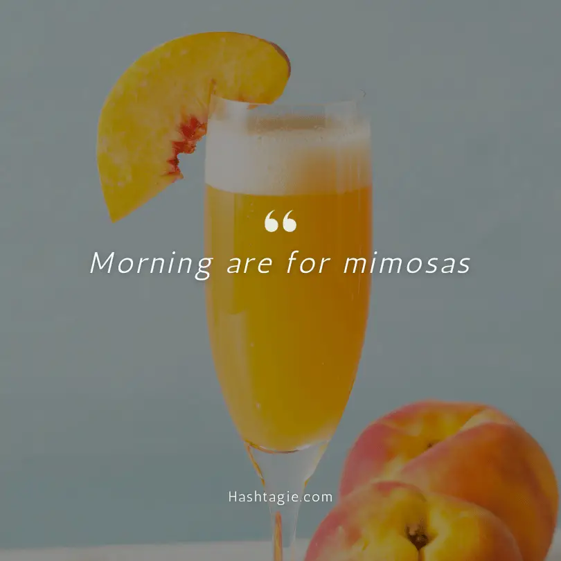 Mimosa Puns for Instagram example image