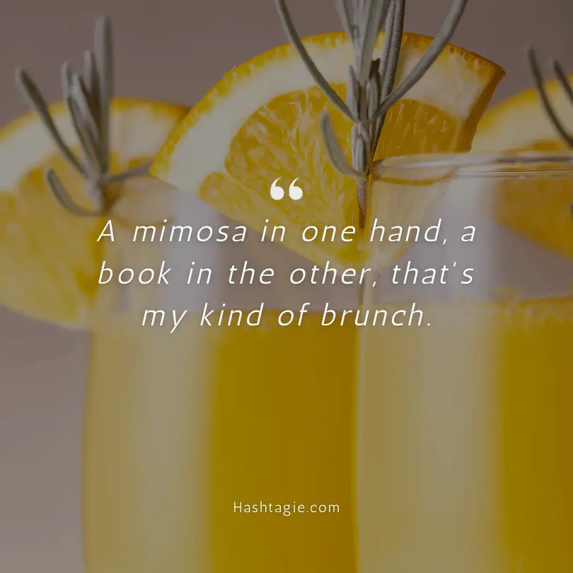 Mimosa Quotes for Book Club example image