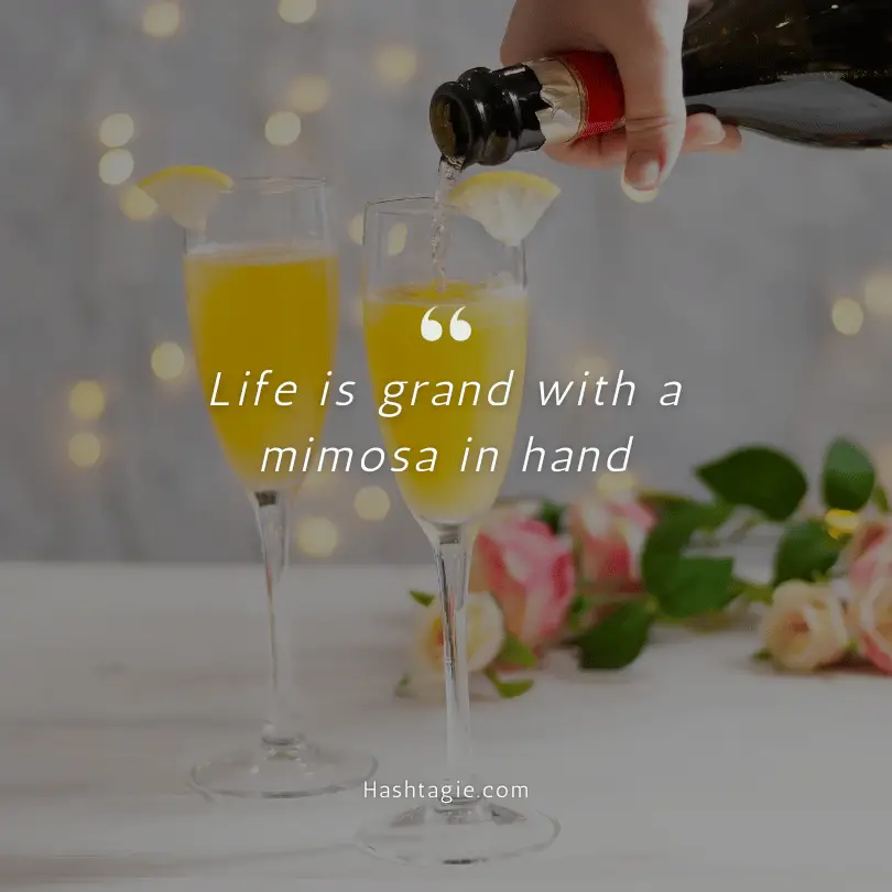 Morning Mimosas Quotes example image