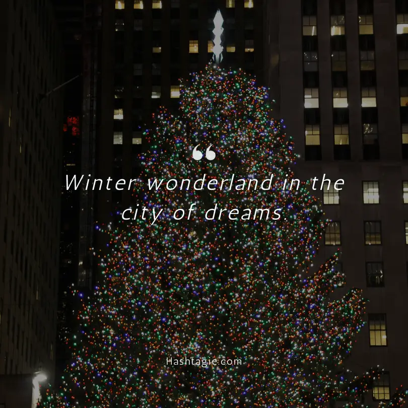 NYC Christmas Captions example image