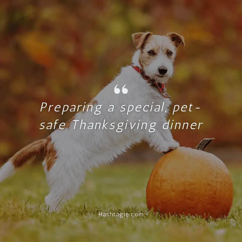 Pet friendly Thanksgiving example image