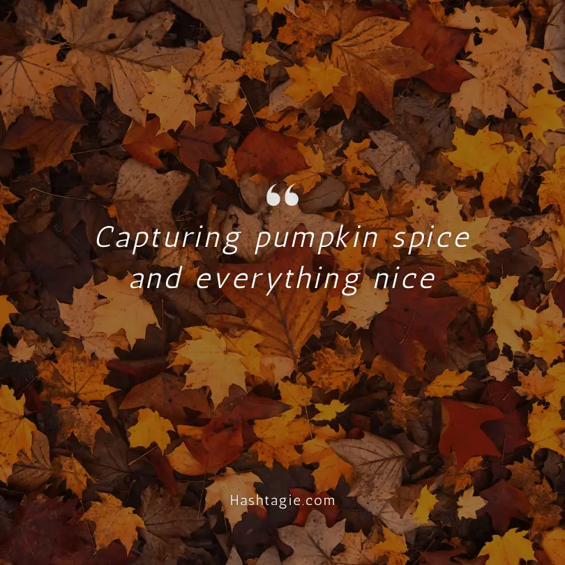 Photo Dump Instagram Captions For Autumn Vibes  example image