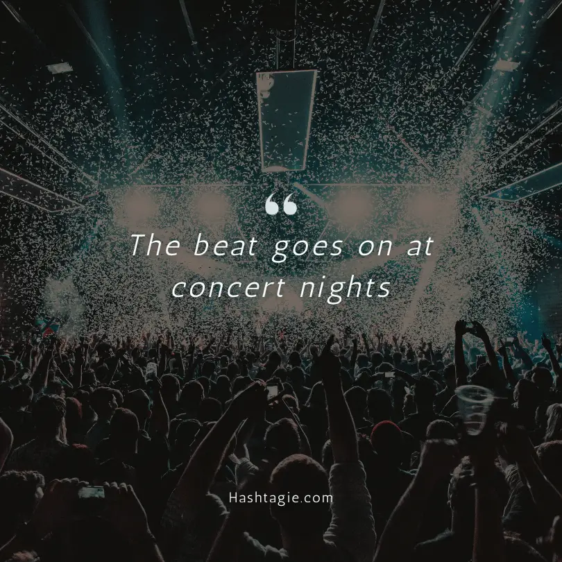 Photo Dump Instagram Captions for Concerts  example image