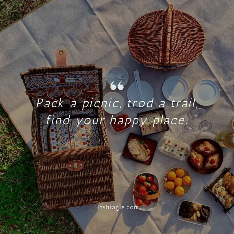 Picnic and hike captions  example image