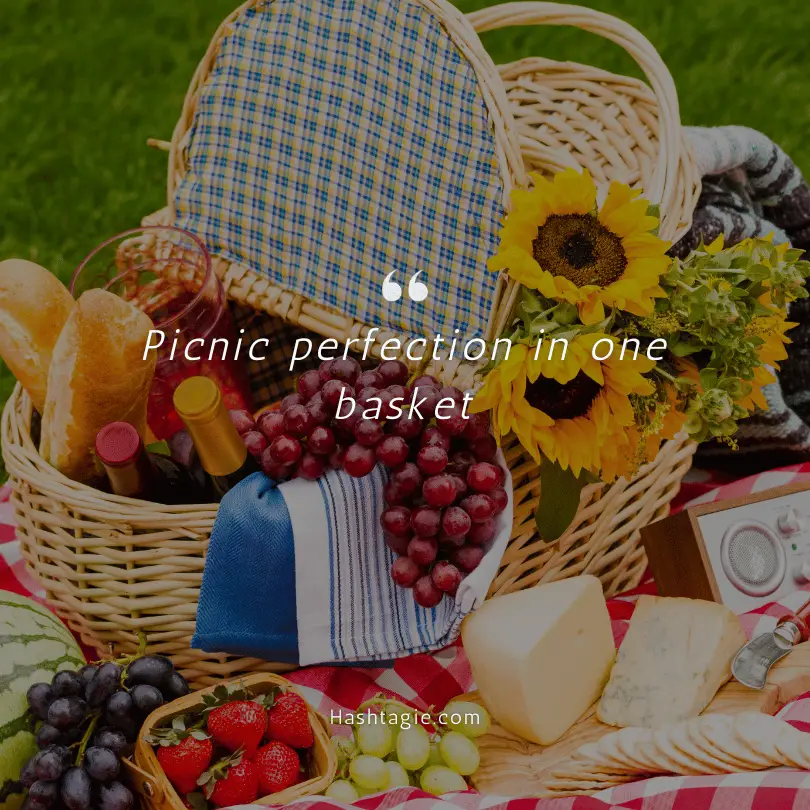 Picnic basket captions example image