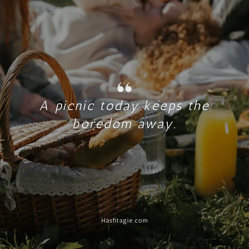 Picnic captions for children example image