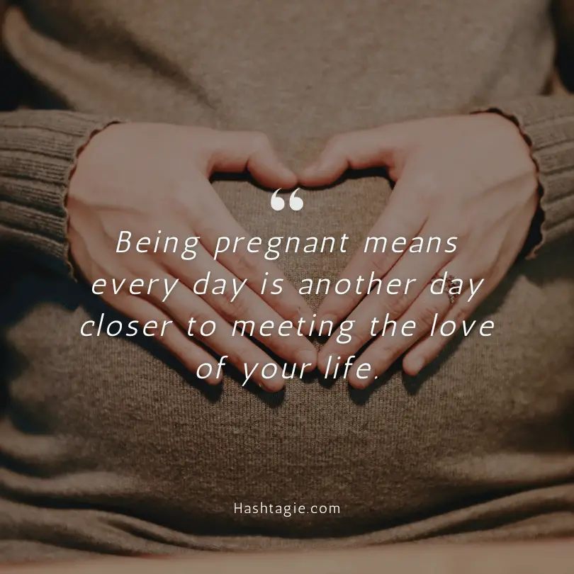 Pregnancy journey quotes example image