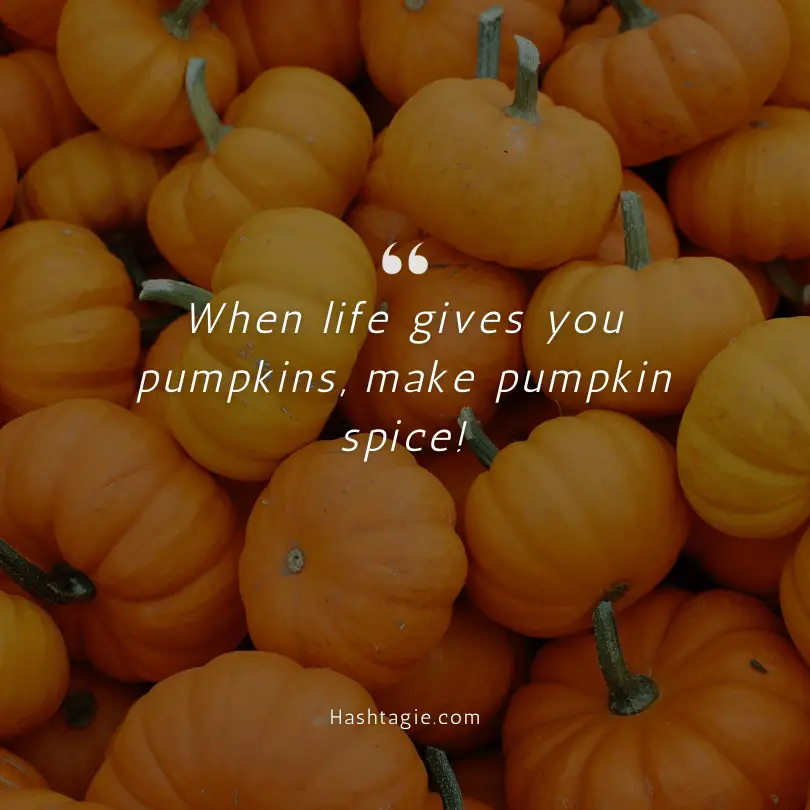 Pumpkin spice Instagram captions example image