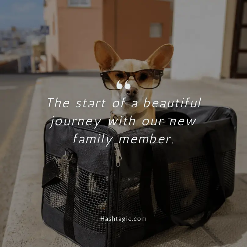 Puppy first day home captions example image