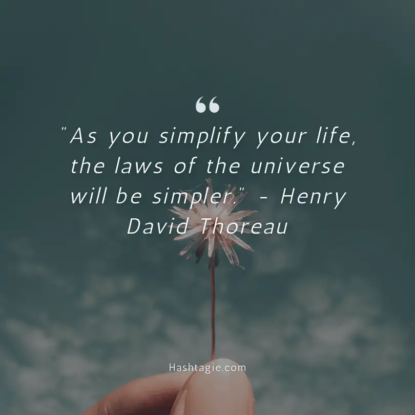 Simplicity quotes for digital detox example image