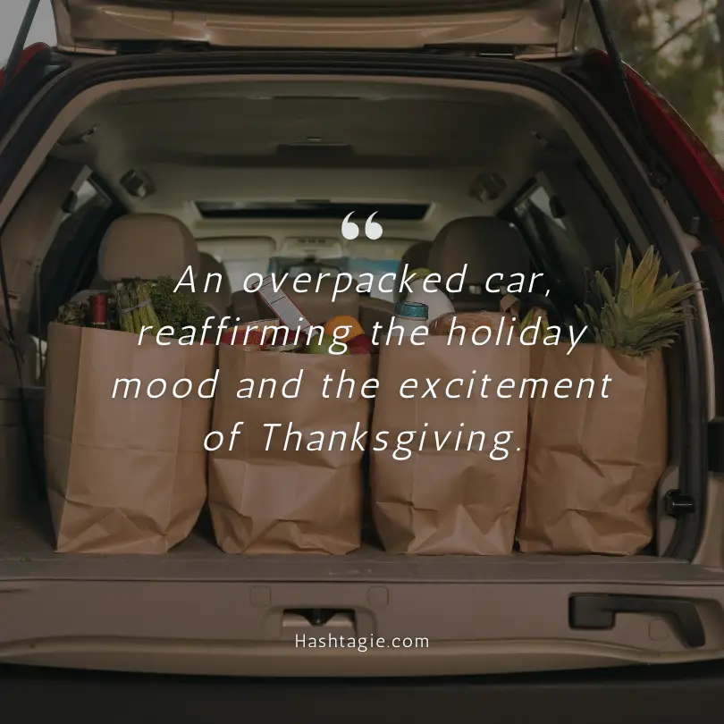 Thanksgiving travel  example image