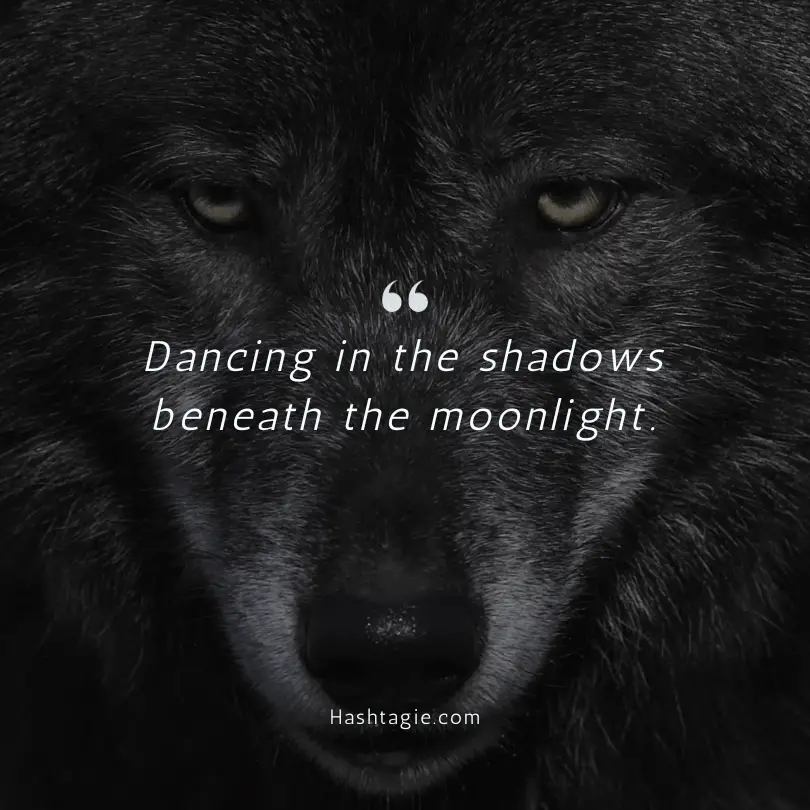 Werewolf themed captions example image