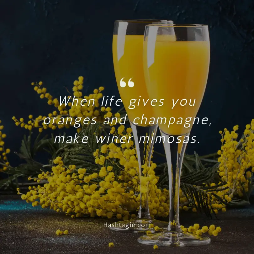 Winter Mimosa Quotes example image