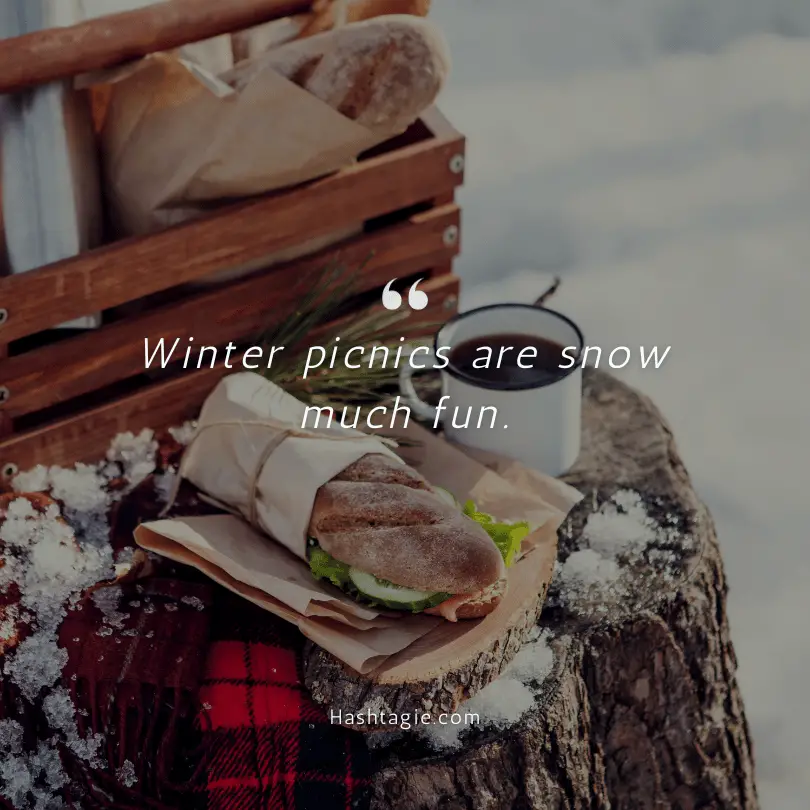 Winter picnic captions example image