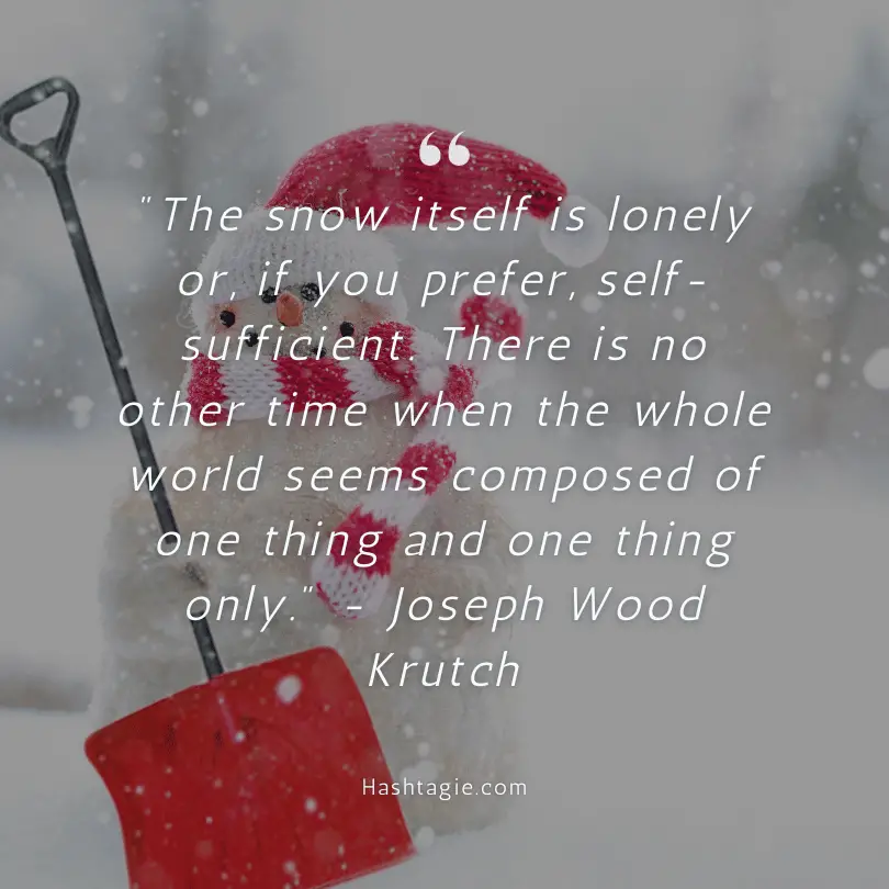 Winter quotes about frost and ice example image